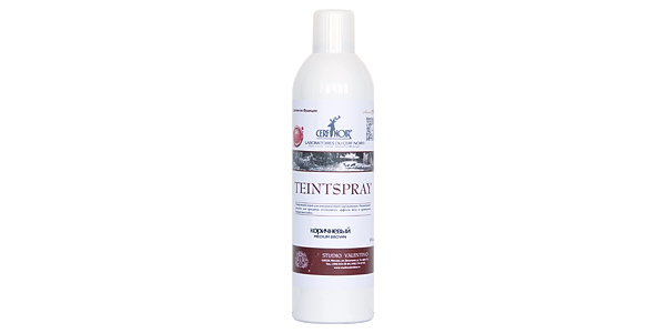 TEINTSPRAY -  